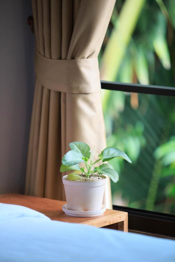 In My Place Cafotel Khlong Thom Ngoại thất bức ảnh